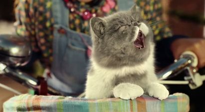 VIDEO: “We All Need Silly Stuff!” Three’s New #SingitKitty Ad is Definitely Our New Favourite Thing