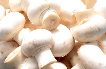 Seven Ways With… Mushrooms