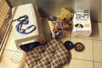 Heartbreaking Note Tied To 14-Month-Old Puppy Dumped In A Bush