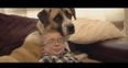 A Boy And His Dog – The Relationship Between Owen And Haatchi Is Incredibly Special