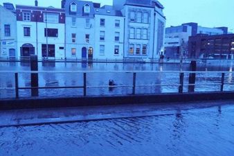 PICTURE – This Little Guy Seems To Be The Only One Enjoying The Floods In Cork