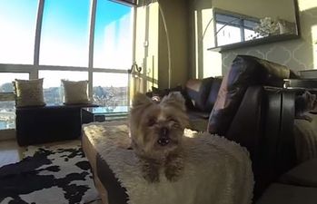 That’s Gas: The Funniest Video We’ve Seen This Week