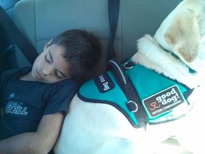 A Man’s Best Friend – This Boy And His Dog Have A Very Special Bond