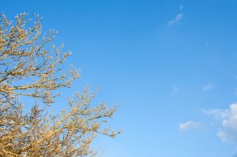 “Dry And Settled” – Finally There Is Some Good Weather News