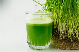 Going Green! Kickstart Your Morning With This Delicious Wheatgrass Juice