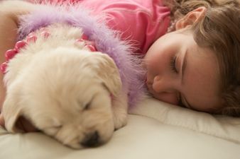 “I Would Absolutely Love A Dog” Eight-Year-Old Girl Pens Clever Note Asking Her Mom For A Pet Puppy