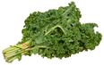 Food For Thought: A Short History of Kale
