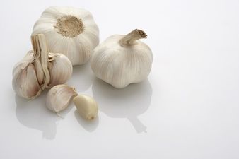 Food High Five – Five Reasons Garlic Is Good For You
