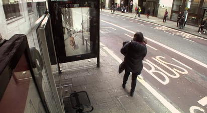VIDEO: The Scariest Bus Stop You’ll Ever See. Ever.