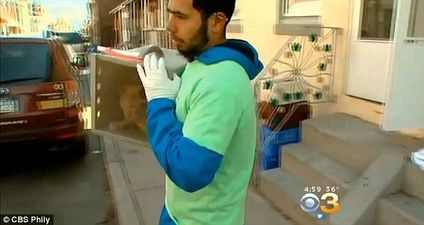 “Crazy Cat Lady” In Pennsylvania Had 260 Cats In Her Home