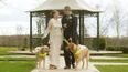 They Called It Puppy Love: Couple Marry After Guide Dogs Become Inseparable