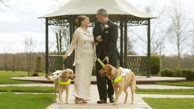 They Called It Puppy Love: Couple Marry After Guide Dogs Become Inseparable