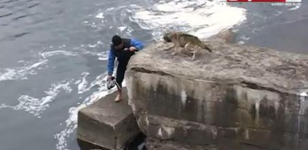VIDEO – THANK YOU! Dog Shows His Gratitude To Man Who Pulled Him From Icy Canal
