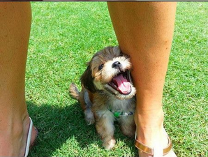 Some Of The Many Reasons You Should Be Super Happy Right Now