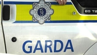 Major Search Launched In Limerick For Missing Female