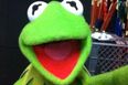 Cheers Simon: Poor Cheryl (Or Should We Say Kermit) is Trending