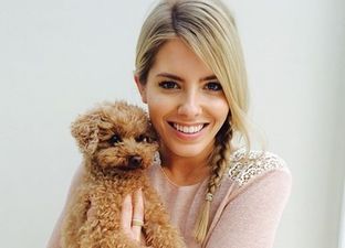 PICTURE: Mollie King Posts Cute Picture of Pooch Alfie