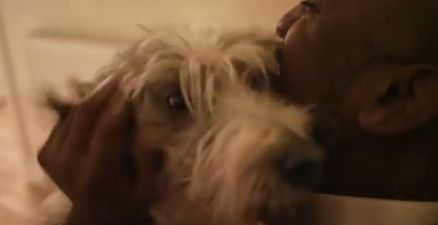 WATCH: This Touching Video Supporting Dog Adoption Warmed Our Hearts