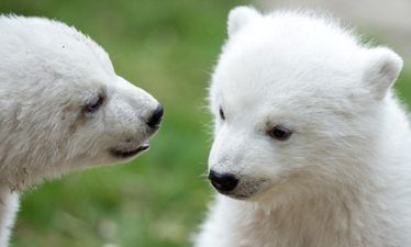 That’s Gas: The Funniest Picture We’ve Seen This Week