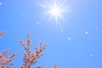 Get A Laid-Back Yet Stylish Spring Look With Littlewoods Ireland