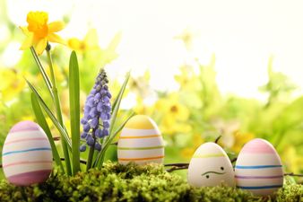 Eggs Eggs And More Eggs – The Best Things About Easter