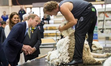 ‘You Need It More Than Me!’ – Kate Middleton Mocks Prince William’s Bald Spot