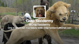 Crap Taxidermy: One Hilarious Twitter Account That Is Definitely Worth A Follow