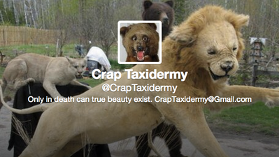 Crap Taxidermy: One Hilarious Twitter Account That Is Definitely Worth A Follow