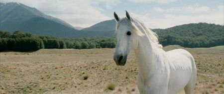 Lord of the Rings Animal Star and Gandalf’s Faithful Steed Shadowfax Dies