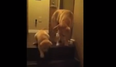 VIDEO: This Brilliant Clip Shows The Basic Difference Between Cats and Dogs