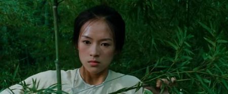 Crouching Tiger, Hidden Dragon Prequel in the Works