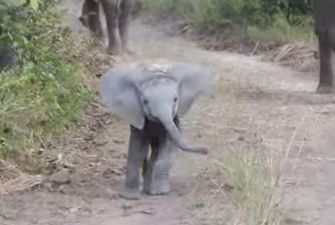 That’s Gas: The Funniest Video We’ve Seen This Week