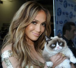 Grumpy Cat Is An American Idol – He’s Just Really Not Impressed With the Judges
