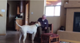 WATCH: Daughter Catches Heartbreaking Moment Near Mute Father Speaks With Their Family Dog