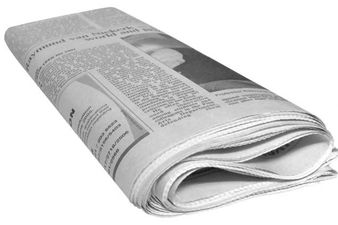 “Masturbating Yogi Throws Dead Animal at Passing Car “: Here Are the Best Headlines of the Week