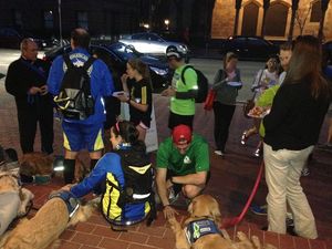 Comfort Dogs Return To Boston This Weekend Ahead Of The 2014 Marathon