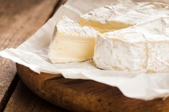 Cheese of the Month: Camembert
