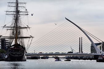 Take The Leap! Would You Go Cliff-Diving?