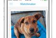 BarkBuddy – Now There’s A Tinder App For Dogs
