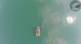 VIDEO: Drone Captures Footage of Basking Shark in Cork Harbour