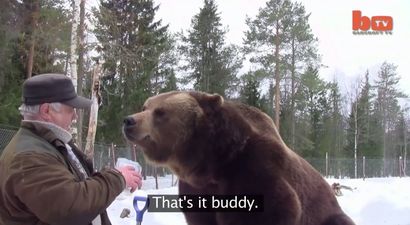 VIDEO: 73-Year-Old Man Has Unbreakable Bond With Brown Bears