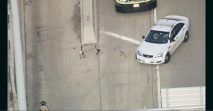 VIDEO – A Family Of Geese Receive A Police Escort Off Busy Highway