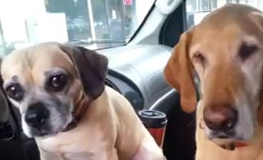 That’s Gas: The Funniest Video We’ve Seen This Week