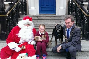 DSPCA Hero Dog Who Helped With Teaching Responsible Animal Care Passes Away After 12 Years On The Job