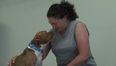 VIDEO: Meet Rosie, A Dog Who Has Mastered The Art Of Sign Language