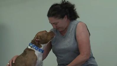 VIDEO: Meet Rosie, A Dog Who Has Mastered The Art Of Sign Language