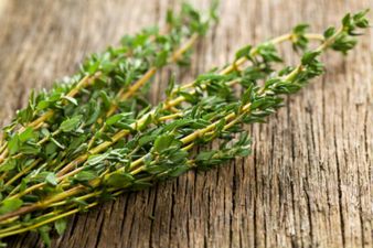 It’s About Thyme! There’s an Even Better Way To Deal with Those Monthly Cramps