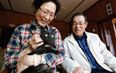 PICTURE: Miracle Cat Reappears Three Years After Tsunami – Reunited With Owners
