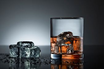 More Money Than Sense? You Can Now Buy A $325 Bag Of Ice Cubes