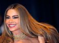 PICTURE: It Looks Like Sofia Vergara Has A New Career…
